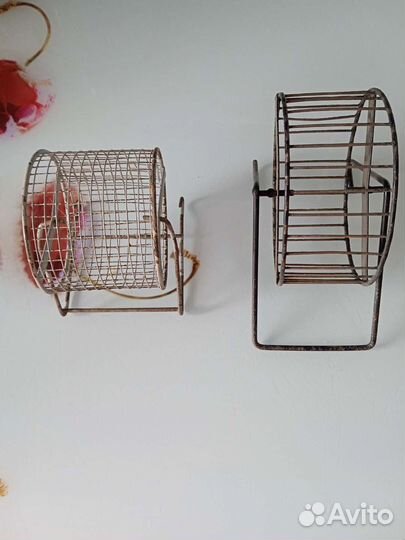 Для грызунов