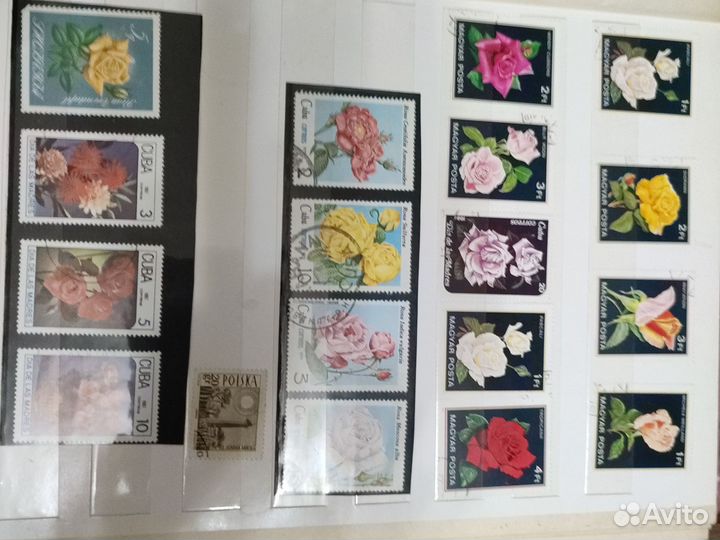 Марки цветы, растения Альбом с марками