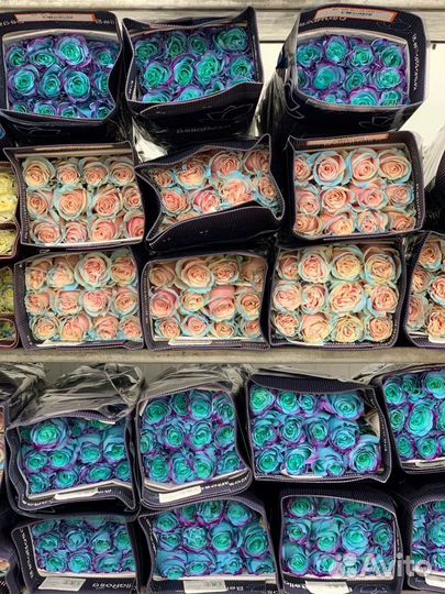 Розы уникальные