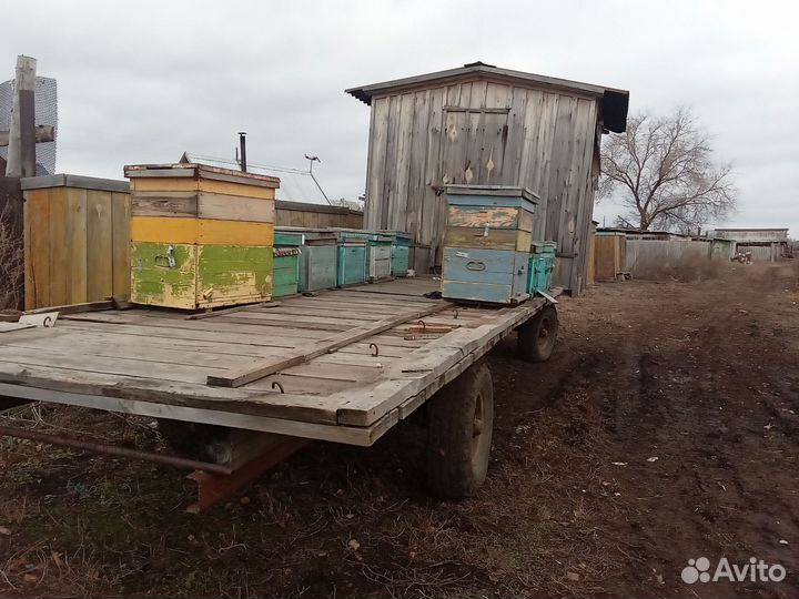 Пчелоприцеп