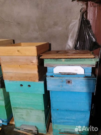 Пчеловодство