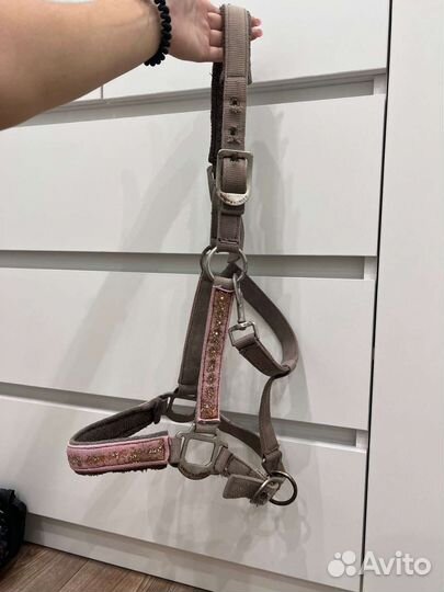 Амуниция для лошади