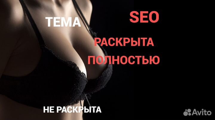 Продвижение сайта в топ