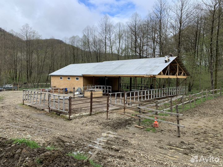 Постой для лошадей