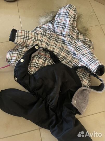Зимний комбинезон для мелких собак