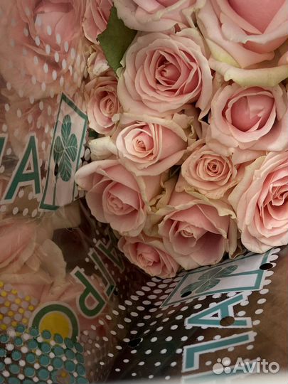 Розы 31/51/101/201 Киров букеты