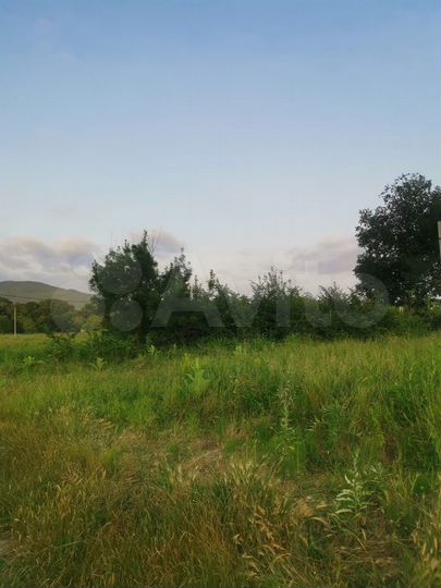 Участок 8,5 сот. (СНТ, ДНП)