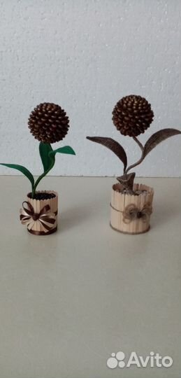 Топиарий из кофейных зёрен