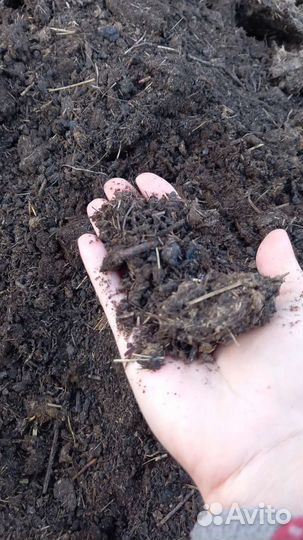 Навоз перегной