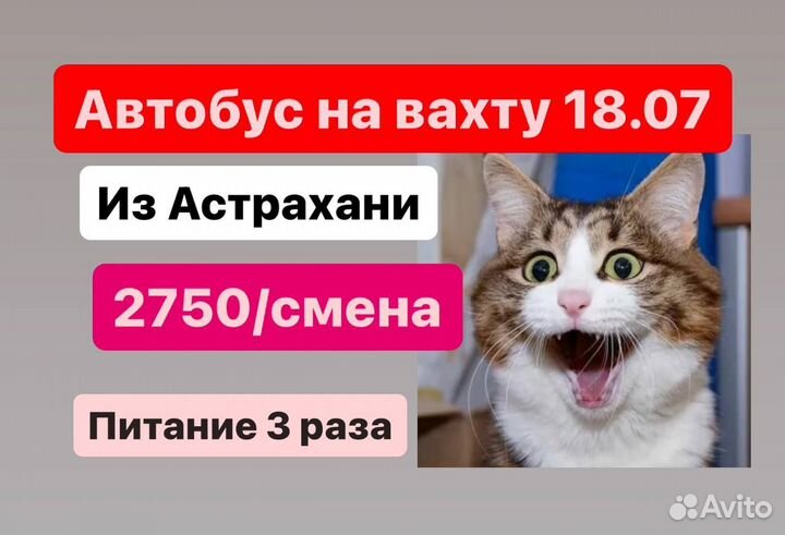 Разнорабочие вахта питание 3 раза автобус 18.07