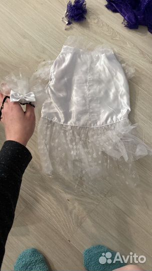 Одежда для маленьких собак