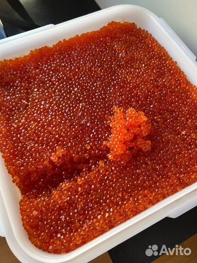 Икра красная премиум качества опт