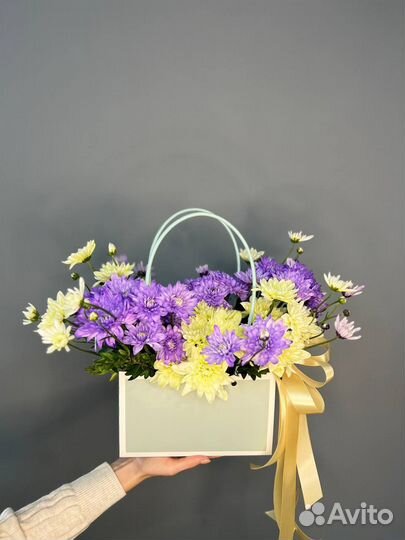 Хризантема