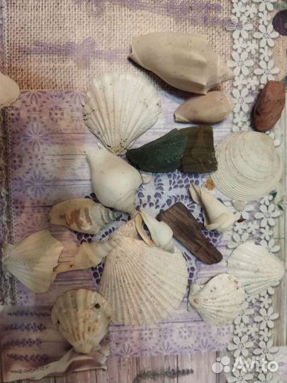 Ракушки и камешки для аквариума