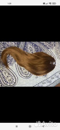 Хост из канеколона