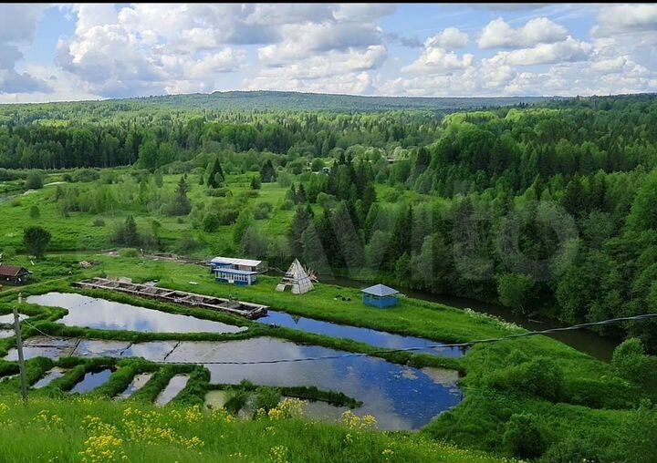 Участок 82 сот. (СНТ, ДНП)