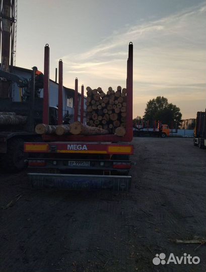 Дрова колотые