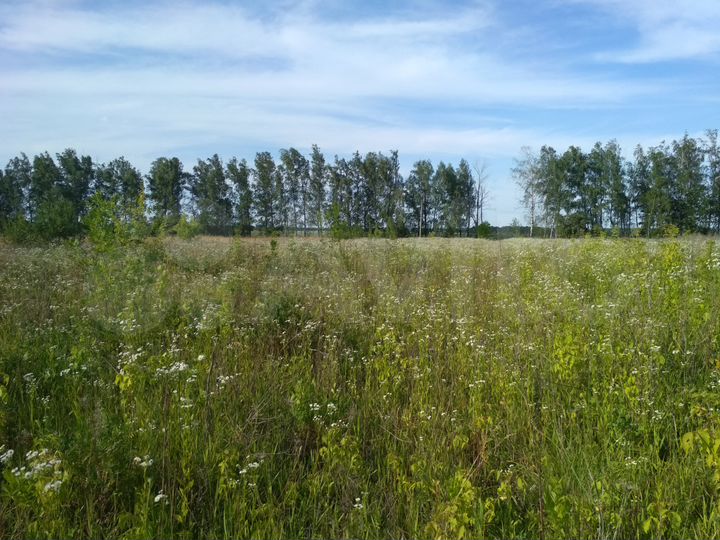 Участок 21 сот. (ИЖС)