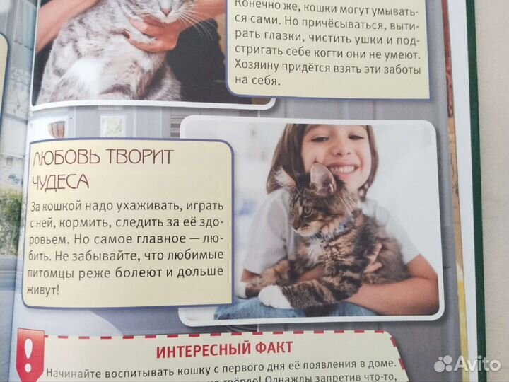 Книги о кошках