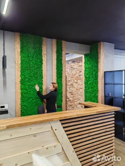 Стены, панно, картины из мха растений. Арт256, от