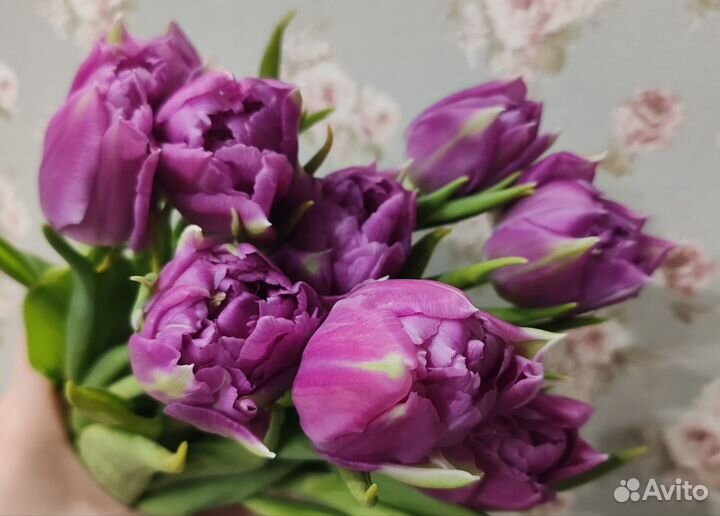 Тюльпаны пионовидные букет