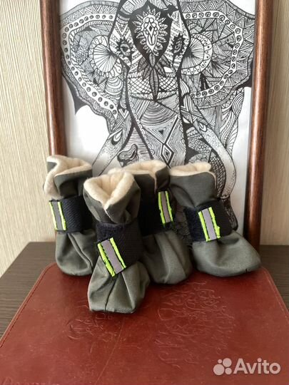 Обувь для собак мелких пород