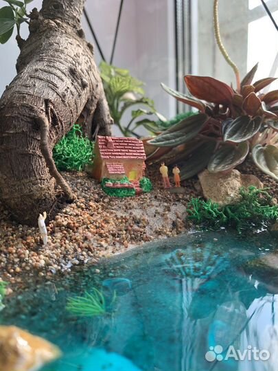 Флорариум с бонсай