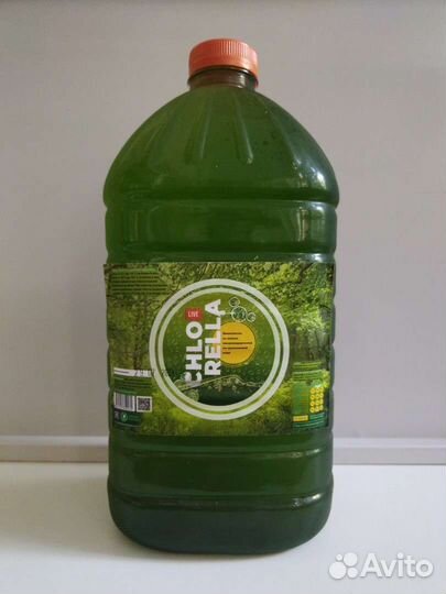 Бионапиток из живой микроводоросли хлорелла