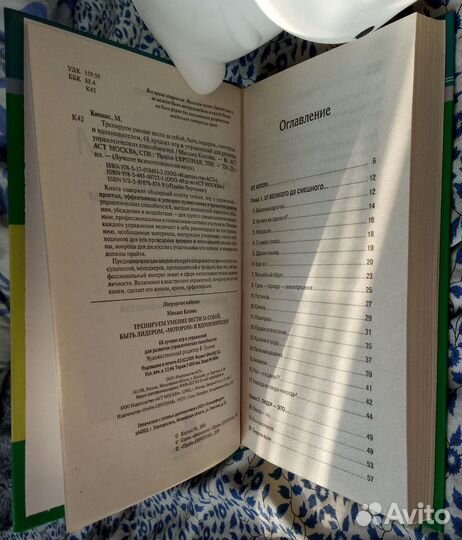 М.Кипнис. Тренируем умение вести за собой, лидером