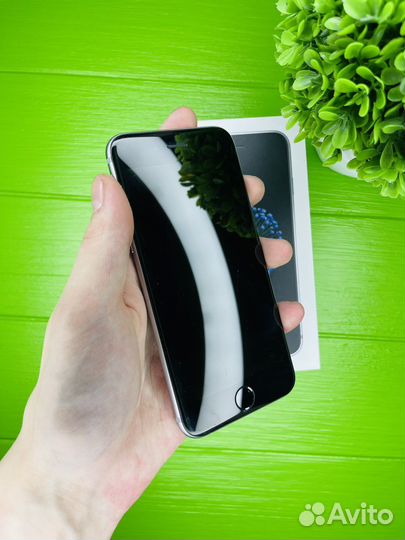 iPhone 6, 16 ГБ