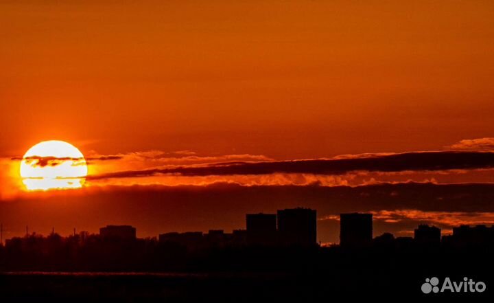 Sigma AF 150-600mm f/5.0-6.3 Cont-ry NikonF+TC1,4