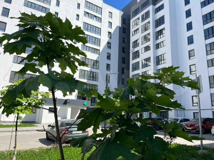 3-к. квартира, 79 м², 3/10 эт.