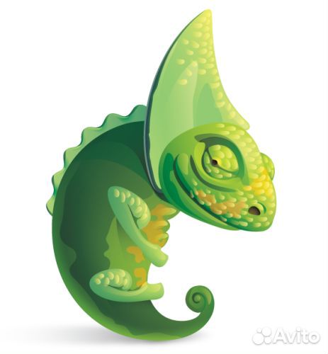 Передержка хамелеонов и других рептилий