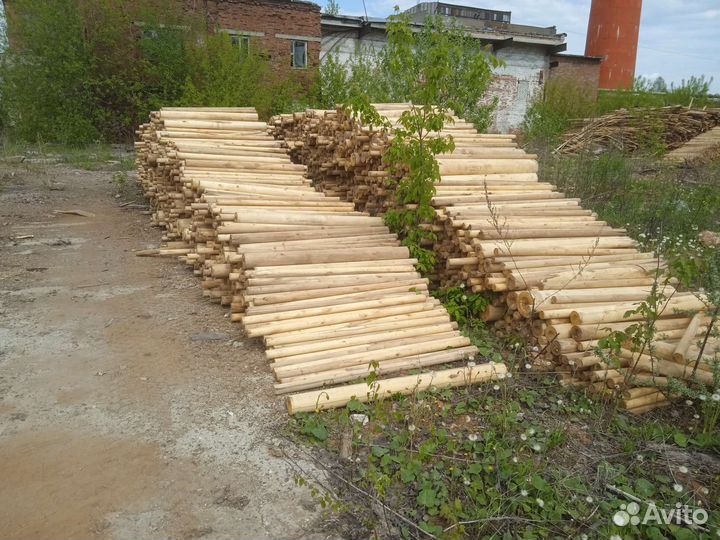 Берёзовый карандаш