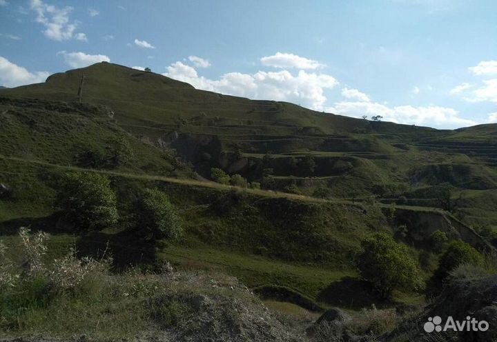 25мая24 Весна в Дагестане /цо3106.4м