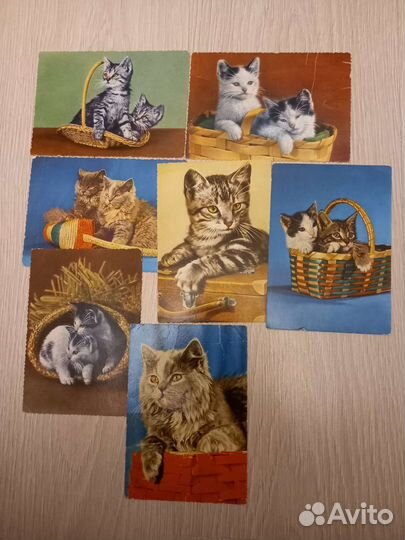 Открытки ГДР, котята. Винтаж