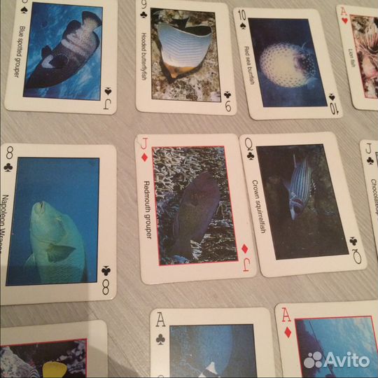 Карты игральные Рыбы Красного моря