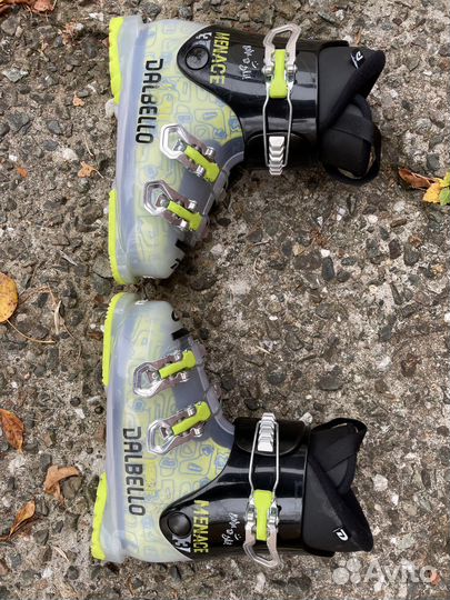 Горные лыжи