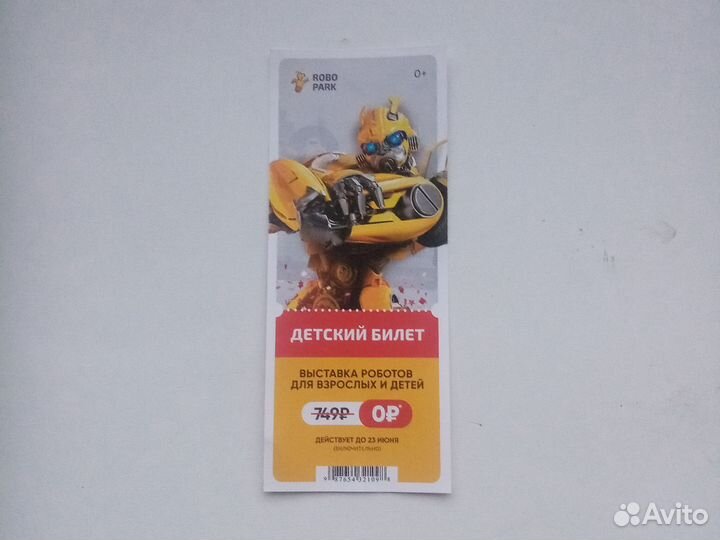 Детский билет на выставку роботов