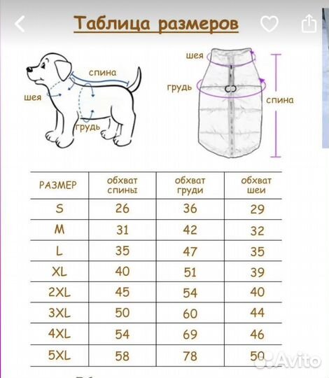 Одежда для средних собак