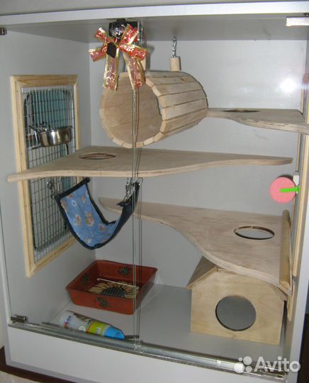 Передержка шиншилл и мелких домашних грызунов