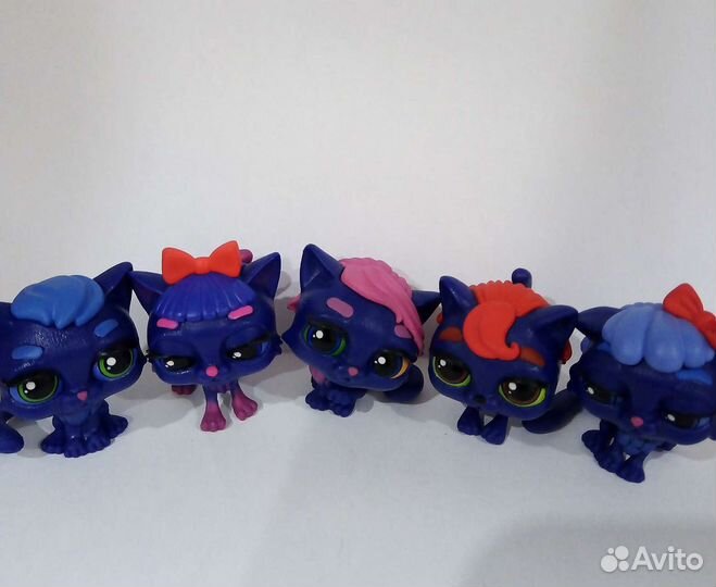 Котята sweet box. космос