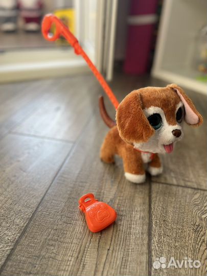 Шаловливый питомец Собака