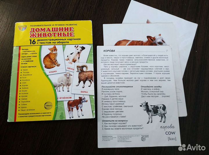 Развивающие карточки для детей