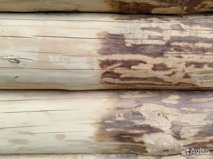 Пескоструйная обработка на выезде Ногинск