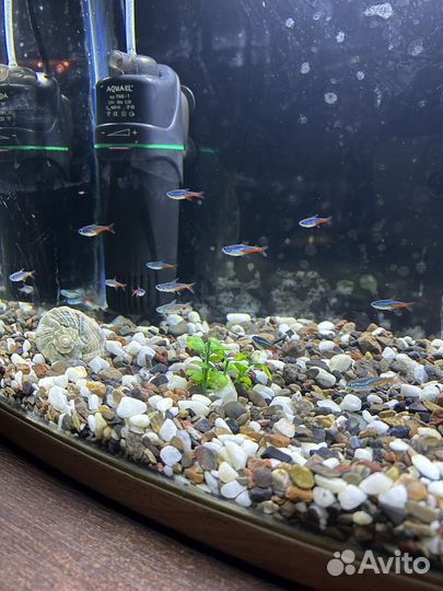 Аквариум jebo 30л