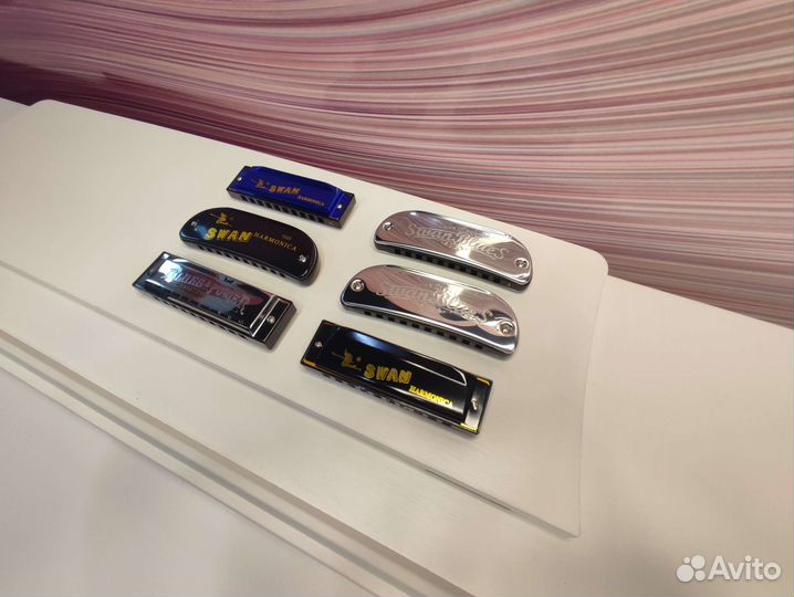 Губные гармошки в ассортименте