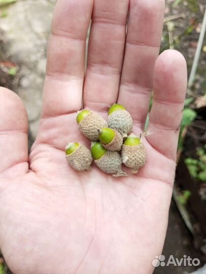 Новогодний декор