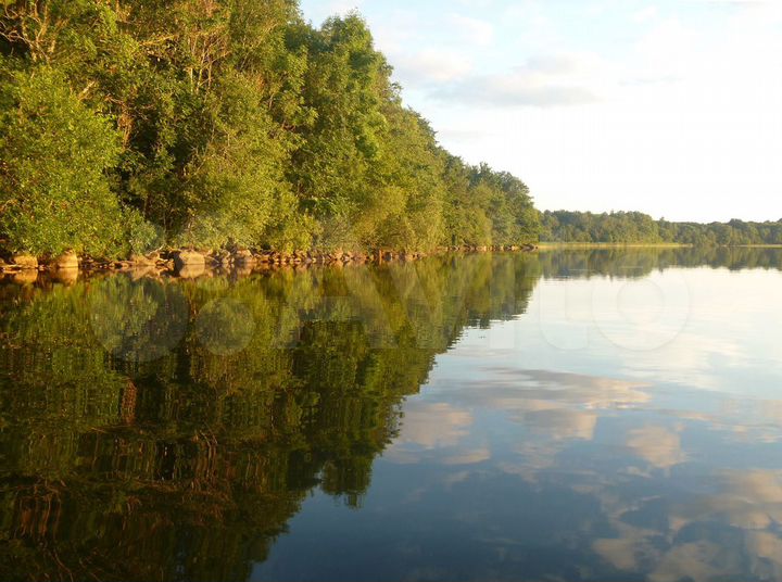 Участок 15 сот. (ИЖС)