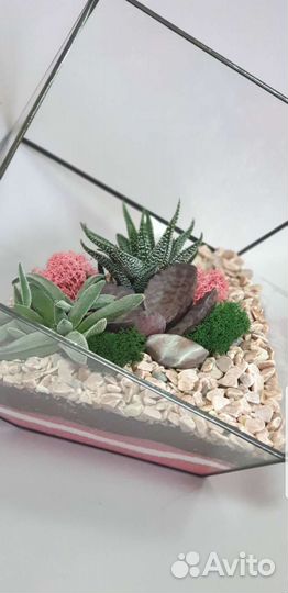 Флорариум. Подарок на день рождения